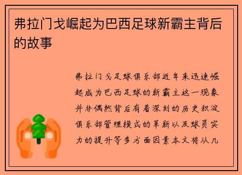 弗拉门戈崛起为巴西足球新霸主背后的故事