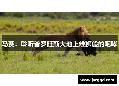 马赛：聆听普罗旺斯大地上雄狮般的咆哮