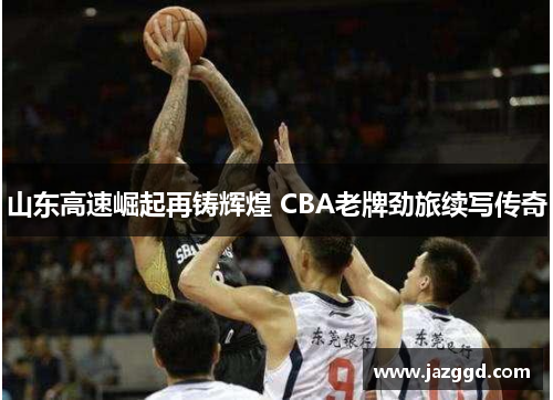 山东高速崛起再铸辉煌 CBA老牌劲旅续写传奇